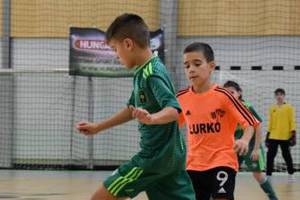 2019.01.27 BOZSIK TORNA R�PCELAKON