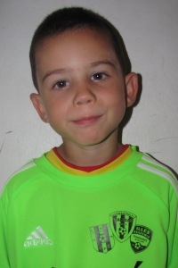 Novk Dominik